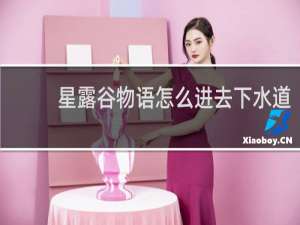星露谷物语怎么进去下水道