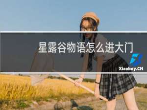 星露谷物语怎么进大门