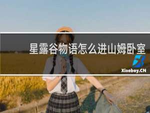 星露谷物语怎么进山姆卧室