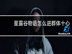 星露谷物语怎么进群体十心