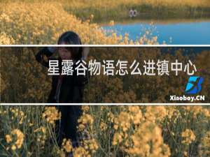 星露谷物语怎么进镇中心