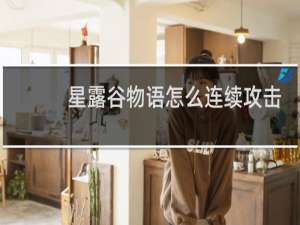 星露谷物语怎么连续攻击