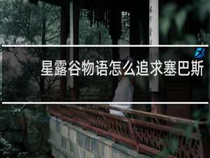 星露谷物语怎么追求塞巴斯