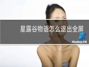 星露谷物语怎么退出全屏