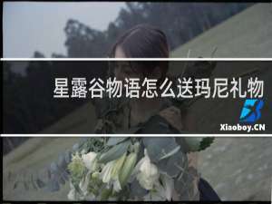 星露谷物语怎么送玛尼礼物