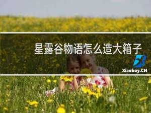 星露谷物语怎么造大箱子