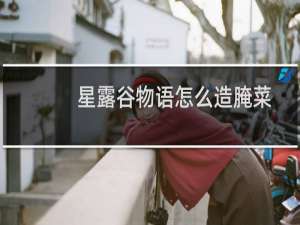 星露谷物语怎么造腌菜