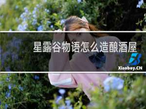 星露谷物语怎么造酿酒屋