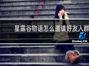 星露谷物语怎么邀请好友入群