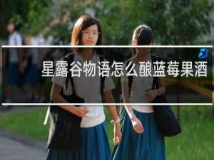 星露谷物语怎么酿蓝莓果酒