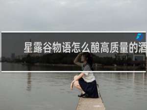 星露谷物语怎么酿高质量的酒