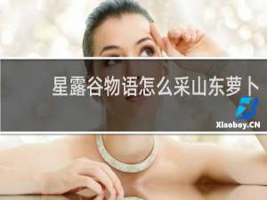 星露谷物语怎么采山东萝卜