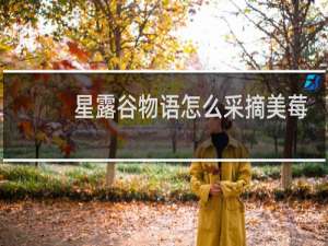 星露谷物语怎么采摘美莓