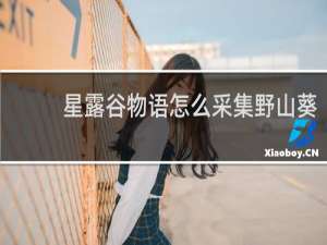星露谷物语怎么采集野山葵