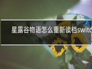 星露谷物语怎么重新读档switch