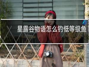星露谷物语怎么钓低等级鱼