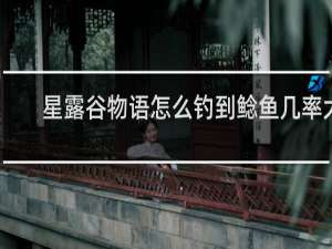 星露谷物语怎么钓到鲶鱼几率大