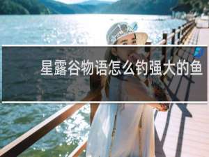 星露谷物语怎么钓强大的鱼