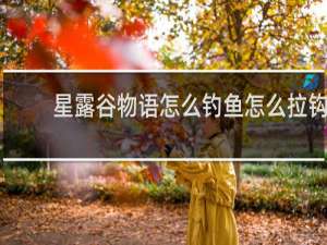 星露谷物语怎么钓鱼怎么拉钩