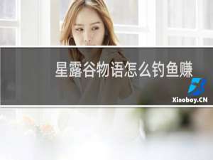 星露谷物语怎么钓鱼赚