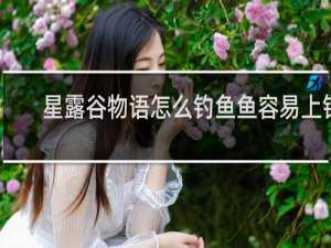 星露谷物语怎么钓鱼鱼容易上钩