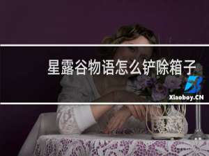 星露谷物语怎么铲除箱子