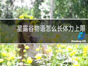 星露谷物语怎么长体力上限