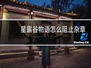 星露谷物语怎么阻止杂草