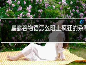 星露谷物语怎么阻止疯狂的杂草