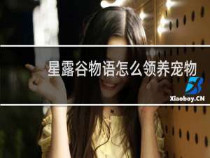星露谷物语怎么领养宠物