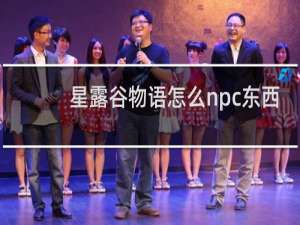 星露谷物语怎么npc东西