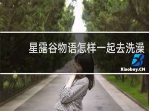 星露谷物语怎样一起去洗澡