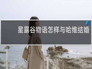 星露谷物语怎样与哈维结婚