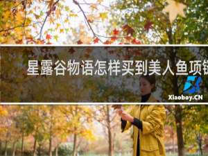星露谷物语怎样买到美人鱼项链