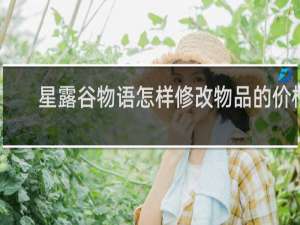 星露谷物语怎样修改物品的价格