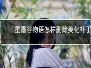 星露谷物语怎样删除美化补丁