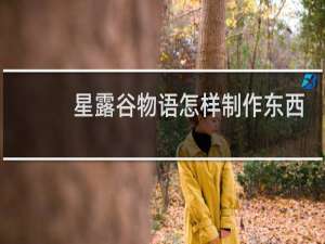 星露谷物语怎样制作东西