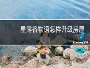 星露谷物语怎样升级房屋