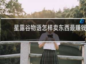 星露谷物语怎样卖东西最赚钱