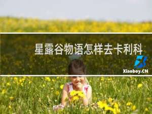 星露谷物语怎样去卡利科