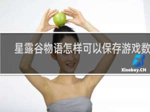 星露谷物语怎样可以保存游戏数据