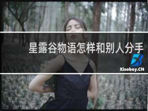 星露谷物语怎样和别人分手