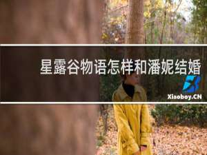 星露谷物语怎样和潘妮结婚