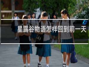 星露谷物语怎样回到前一天
