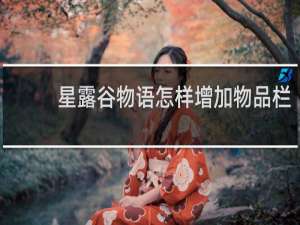 星露谷物语怎样增加物品栏