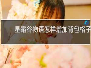 星露谷物语怎样增加背包格子