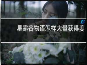 星露谷物语怎样大量获得姜