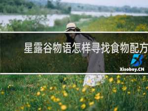 星露谷物语怎样寻找食物配方