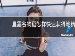 星露谷物语怎样快速获得地精