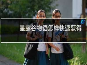 星露谷物语怎样快速获得